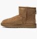Фотография Ботинки женские Ugg Classic Clear Mini (1016222-CHE) 1 из 8 в Ideal Sport