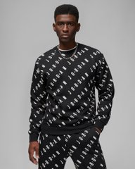 Кофта чоловічі Jordan Graphic Fleece Crew-Neck Sweatshirt (DX9173-010), L, OFC, 20% - 30%, 1-2 дні
