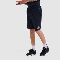 Шорти чоловічі Ellesse Vivaldi Short (SXG09889-429), S, WHS, 1-2 дні