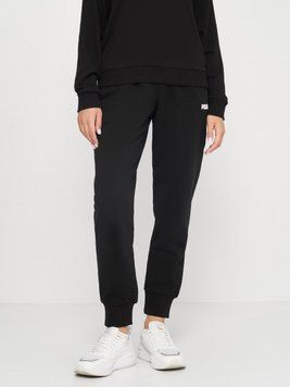 Брюки женские Puma Ess Sweat Pants Closed Fl W (84720601), XS, WHS, < 10%, 1-2 дня