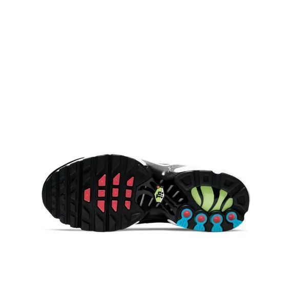 Кросівки жіночі Nike Air Max Plus (CD0609-010), 39, WHS, 10% - 20%, 1-2 дні