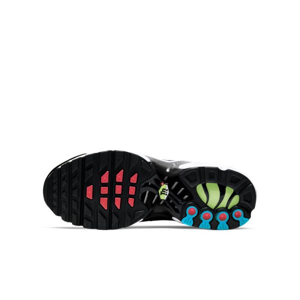 Кросівки жіночі Nike Air Max Plus (CD0609-010), 39, WHS, 10% - 20%, 1-2 дні