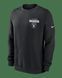 Фотография Кофта мужская Nike Las Vegas Raiders Club (NKPV00A8D-KU0) 1 из 3 в Ideal Sport