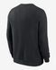 Фотография Кофта мужская Nike Las Vegas Raiders Club (NKPV00A8D-KU0) 2 из 3 в Ideal Sport