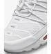 Фотографія Кросівки чоловічі Nike Air Max Plus Tn (FJ4232-100) 9 з 10 в Ideal Sport