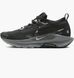 Фотографія Кросівки жіночі Nike W Pegasus Trail 5 Gtx (FQ0912-001) 1 з 8 в Ideal Sport