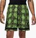 Фотографія Шорти чоловічі Jordan Dri-Fit Mesh Diamond Green (HF9907-358) 1 з 6 в Ideal Sport