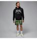 Фотографія Шорти чоловічі Jordan Dri-Fit Mesh Diamond Green (HF9907-358) 6 з 6 в Ideal Sport
