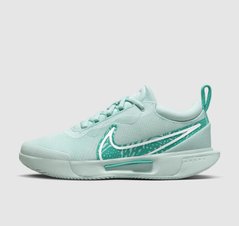 Кросівки жіночі Nike Zoom Court Pro Cly (FD1156-300), 38.5, WHS, 40% - 50%, 1-2 дні