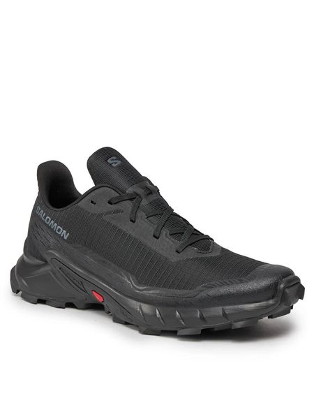 Кроссовки мужские Salomon Alphacross 5 (473131), 41, WHS, 1-2 дня