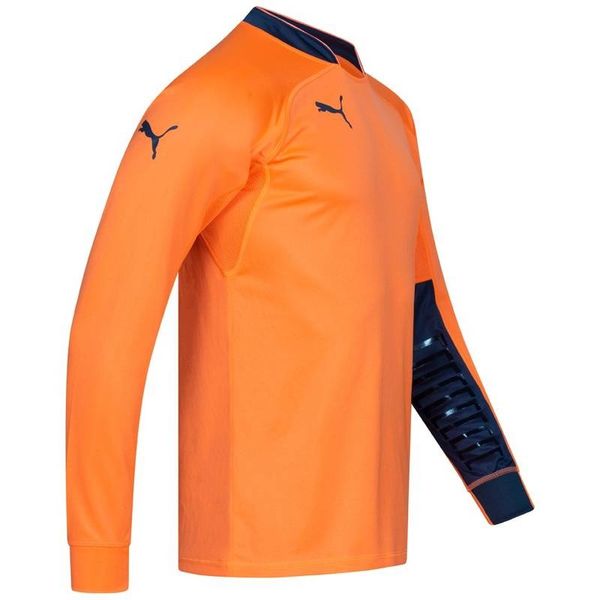 Кофта мужские Puma Added Long-Sleeved Goalkeeper (701918-40), L, WHS, 1-2 дня