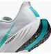 Фотографія Кросівки чоловічі Nike Pegasus Plus Grey (FQ7262-004) 10 з 10 в Ideal Sport