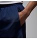 Фотографія Шорти чоловічі Jordan M J Df Sprt Woven (FN5842-410) 4 з 6 в Ideal Sport