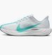 Фотографія Кросівки чоловічі Nike Pegasus Plus Grey (FQ7262-004) 1 з 10 в Ideal Sport