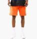 Фотография Шорты мужские Nike Sportswear Club Fleece Shorts Electro (DV0055-837) 1 из 6 в Ideal Sport