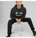 Фотографія Кофта чоловіча Puma Bmw Mms Ess Ft Hoodie (538143-01) 5 з 8 в Ideal Sport