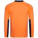 Фотография Кофта мужские Puma Added Long-Sleeved Goalkeeper (701918-40) 3 из 3 в Ideal Sport