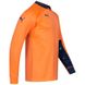 Фотография Кофта мужские Puma Added Long-Sleeved Goalkeeper (701918-40) 2 из 3 в Ideal Sport