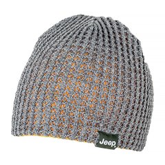 Шапка Jeep Reversible Tricot Hat (O102597-J867), One Size, WHS, 1-2 дня