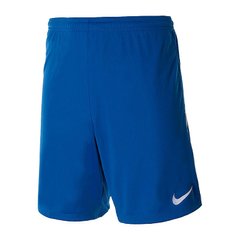 Шорти чоловічі Nike M Nk Dry Lge Knit Ii Short Nb (BV6852-463), M, WHS, 1-2 дні