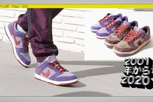 Год Данка : расцветка цветов Nike Dunk 2020 фото