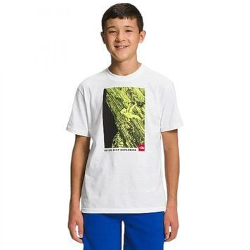 Футболка детская The North Face Graphic T-Shirt (NF0A82T8-VK91), L, WHS, 10% - 20%, 1-2 дня