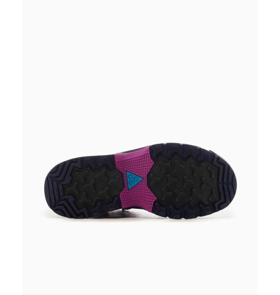 Черевики жіночі Nike Acg Zoom Gaiadome Gore-Tex (DD2858-401), 38.5, WHS, > 50%, 1-2 дні