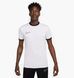 Фотографія Футболка чоловіча Nike Dri-Fit Academy 25 (FZ9754-100) 1 з 3 в Ideal Sport