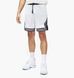 Фотографія Шорти чоловічі Jordan Dri-Fit Sport (DX1487-100) 1 з 8 в Ideal Sport