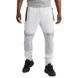 Фотографія Брюки чоловічі Nike Nsw Air Max Pk Jogger (HQ4900-410) 1 з 6 в Ideal Sport