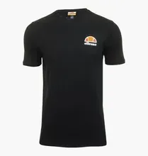 SHS04548-001