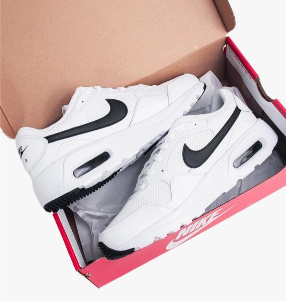 Кросівки чоловічі Nike Air Max Sc (CW4555-102), 41, WHS, > 50%, 1-2 дні