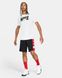 Фотография Шорты мужские Nike Dri-Fit (CV1866-010) 5 из 5 в Ideal Sport