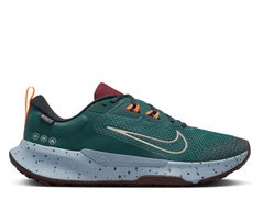 Кроссовки мужские Nike Juniper Trail 2 Gore-Tex (FB2067-300), 45, WHS, 1-2 дня