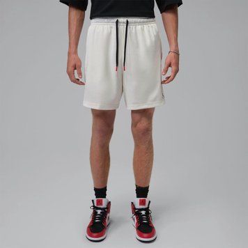 Шорти чоловічі Jordan M J Brk Champ Mesh Short (IR1419-133), L, WHS, 1-2 дні