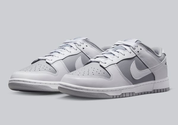 Кросівки чоловічі Nike Dunk Low Retro (DJ6188-003), 44, WHS, 10% - 20%, 1-2 дні