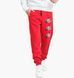 Фотографія Брюки чоловічі Jordan Jumpman Classics Red (CK6739-687) 1 з 3 в Ideal Sport