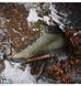 Фотография Ботинки унисекс Adidas Terrex Snowpitch Cold.Rdy Hiking Olive (IH3665) 11 из 11 в Ideal Sport