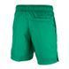 Фотографія Шорти чоловічі Jordan Jumpman Poolside Short (CZ4751-372) 2 з 3 в Ideal Sport
