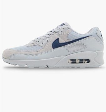 Кросівки чоловічі Nike Air Max 90 Grey (DM0029-022), 42.5, WHS, 40% - 50%, 1-2 дні