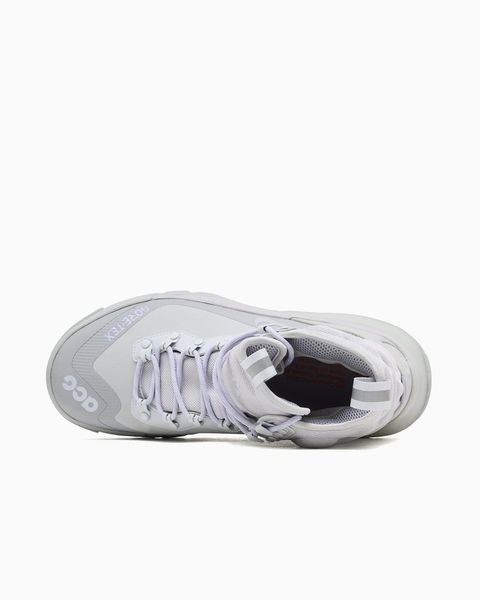 Черевики чоловічі Nike Acg Air Zoom Gaiadome Gore-Tex&reg; (DD2858-002), 47.5, WHS, 10% - 20%, 1-2 дні