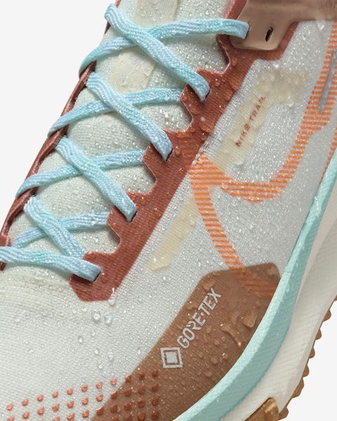 Кросівки для бігу чоловічі Nike Pegasus Trail 4 Gore-Tex (FN8886-181), 45.5, WHS, > 50%, 1-2 дні