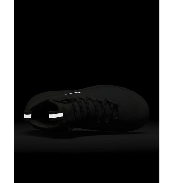 Черевики чоловічі Nike Acg Air Zoom Gaiadome Gtx Arrives (DD2858-100), 40, WHS, < 10%, 1-2 дні