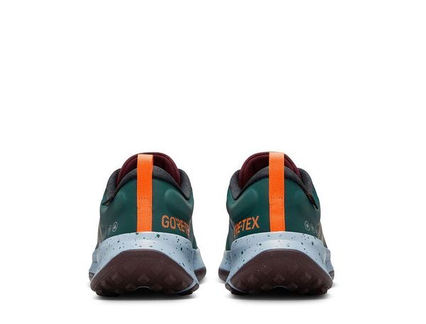 Кроссовки мужские Nike Juniper Trail 2 Gore-Tex (FB2067-300), 48.5, WHS, 1-2 дня