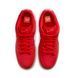 Фотографія Кросівки унісекс Nike Dunk Low Sb Red (FJ1674-600) 4 з 9 в Ideal Sport