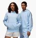 Фотографія Кофта унісекс Jordan Brooklyn Fleece Light Blue (FV7281-407) 1 з 7 в Ideal Sport