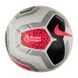 Фотографія М'яч Nike Pl Nk Strk-Fa19 (SC3552-101) 2 з 3 в Ideal Sport