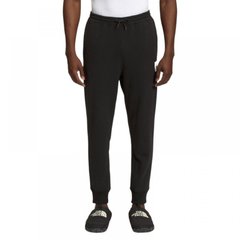 Брюки чоловічі The North Face Ox Nse Jogger Pants (NF0A7UOAKY4), L, WHS, 10% - 20%, 1-2 дні