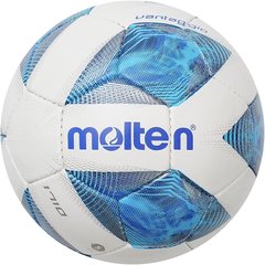 М'яч Molten Training Bal (F4A1710), 5, WHS, 10% - 20%, 1-2 дні