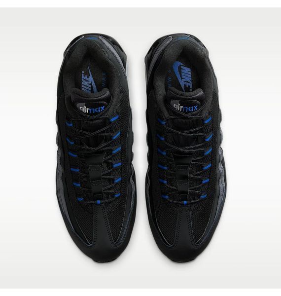 Кросівки чоловічі Nike Air Max 95 (IM5987-010), 41, WHS, 1-2 дні